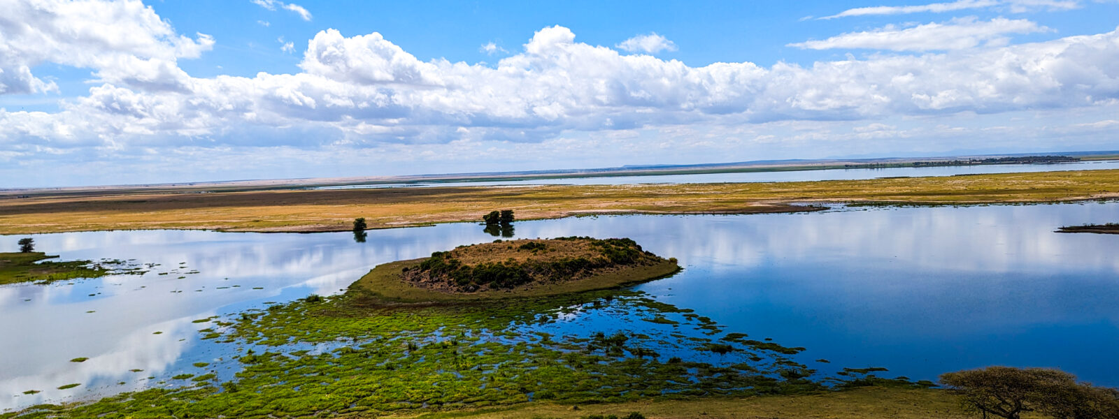 PXL_20240621_084756172.MP