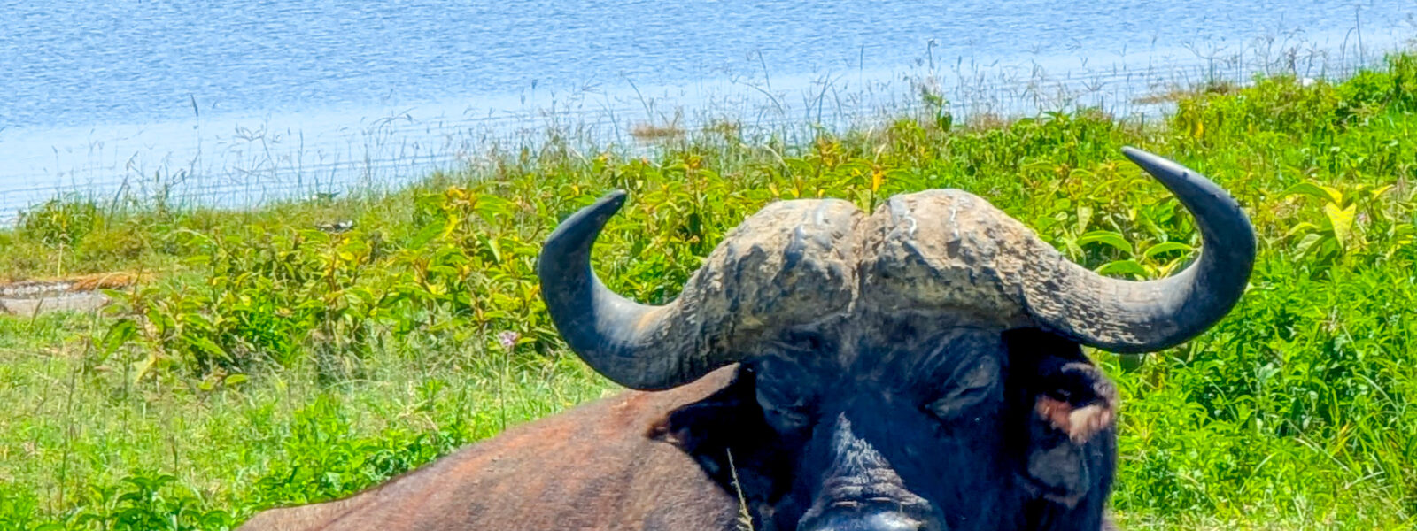 PXL_20250607_090934377