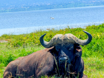 PXL_20250607_090934377