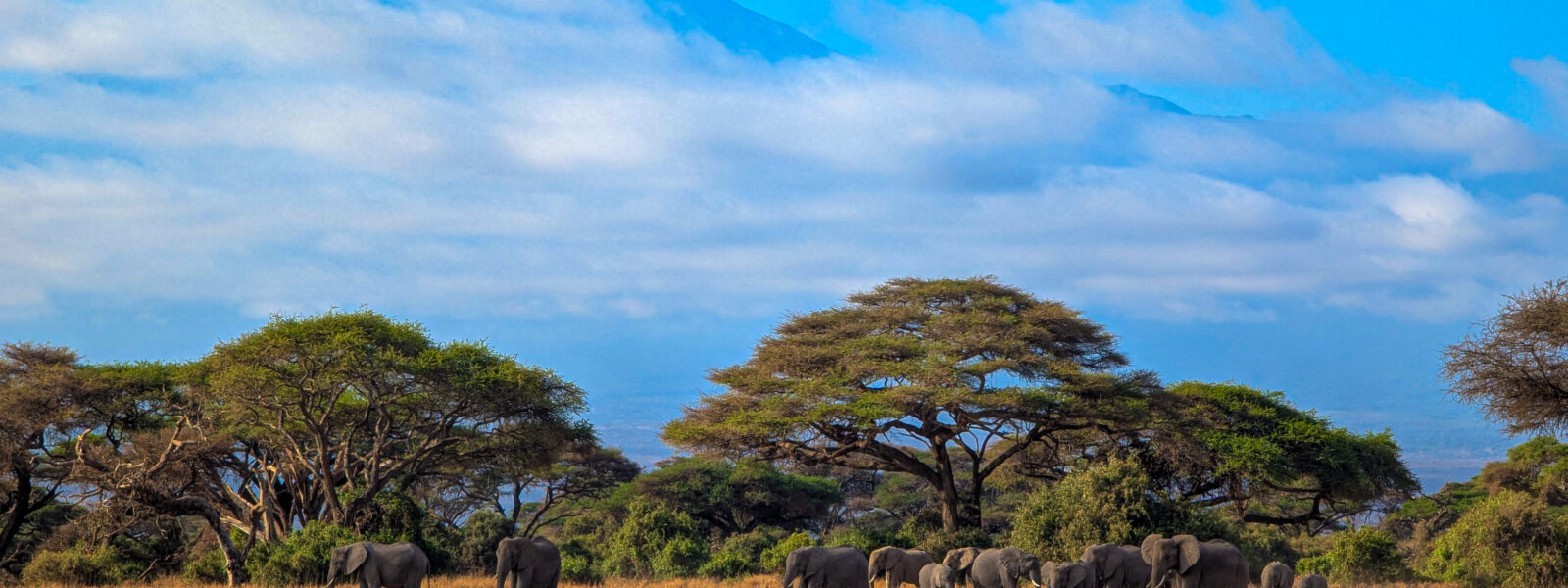 PXL_20251013_050440257