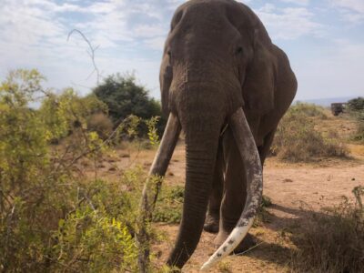 WhatsApp Image 2025-10-22 at 6.29.08 PM