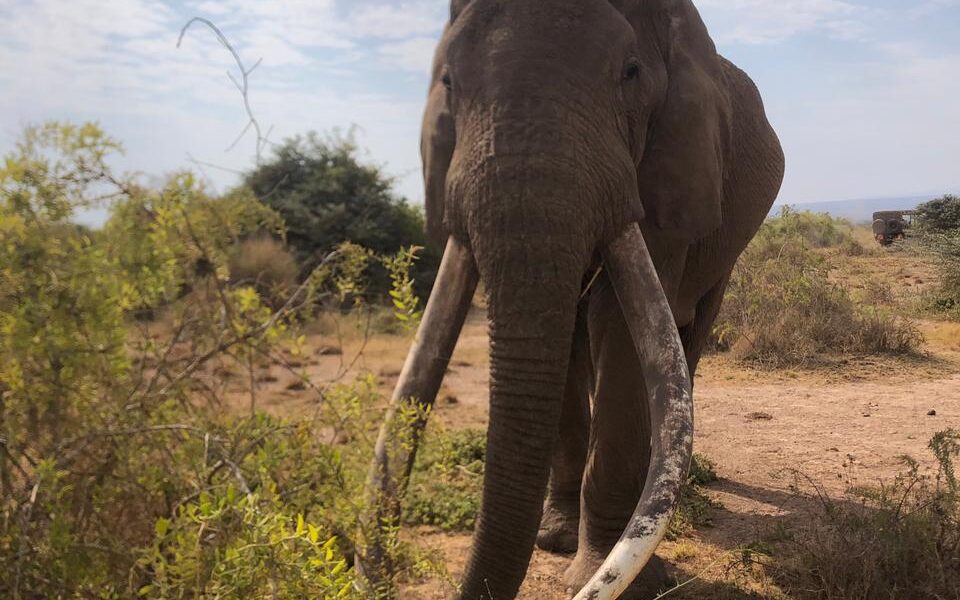 WhatsApp Image 2025-10-22 at 6.29.08 PM