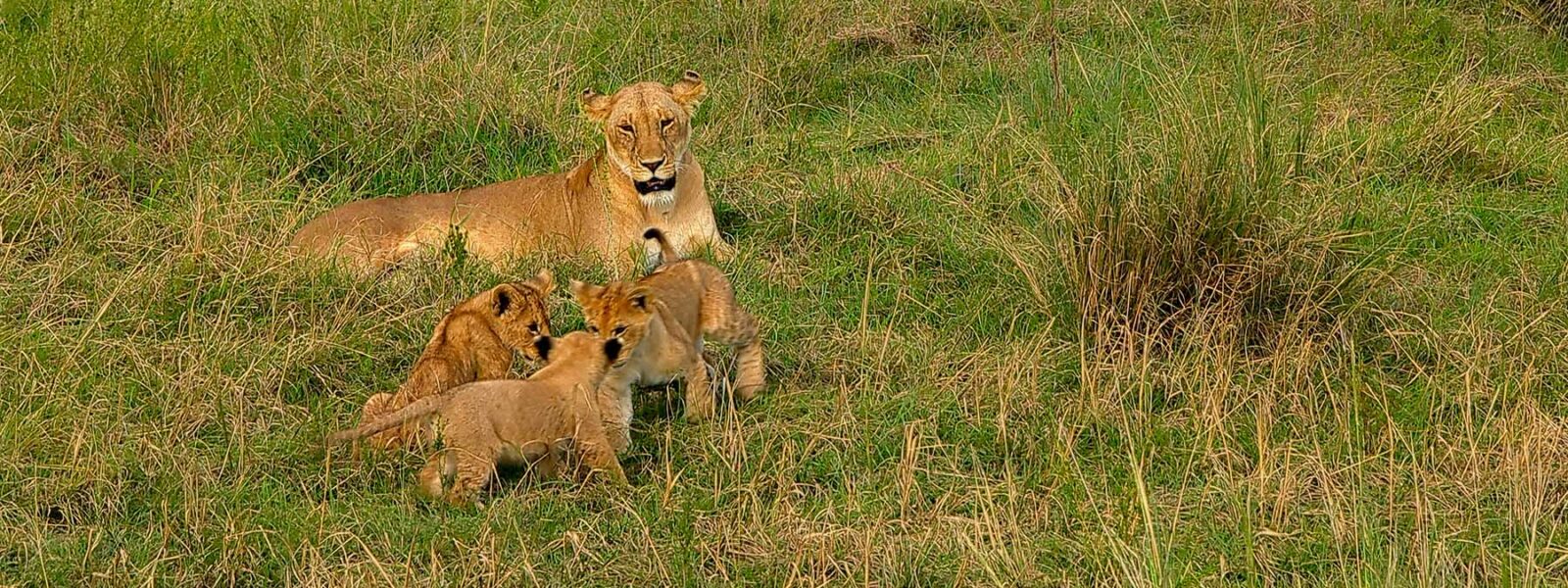 Kenya off-the-beaten-path safaris