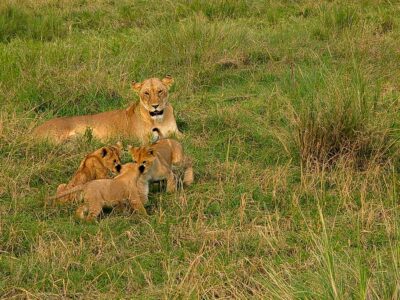 Off-the-beaten-path safaris Kenya off-the-beaten-path safaris