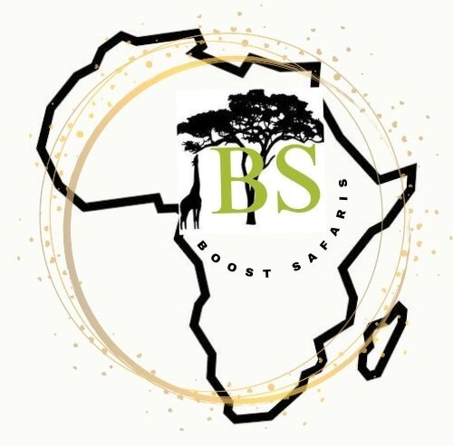Boost Safaris |