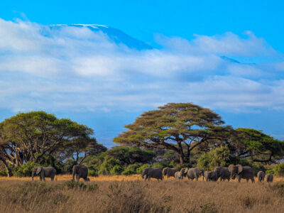 Bucket List Experiences in Kenya Travel Experiences to Add to your Kenya Bucket List